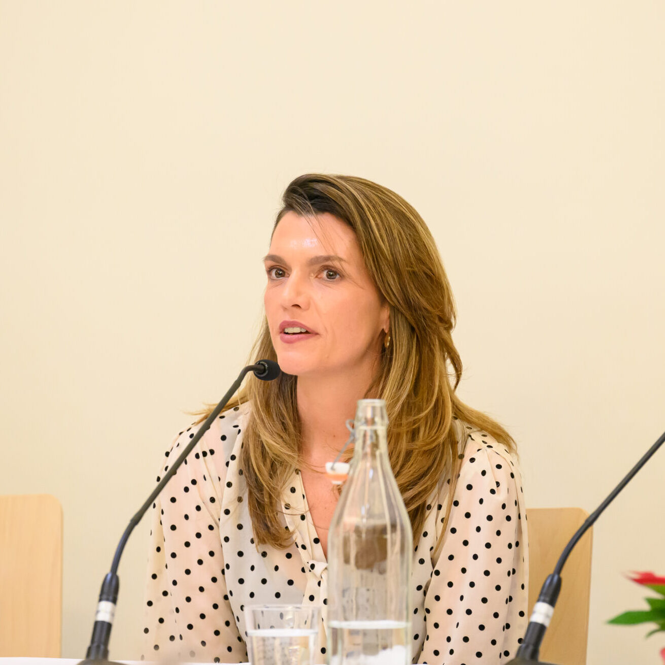 Diskussion at the Park Hotel_c_GeorgStockreiter